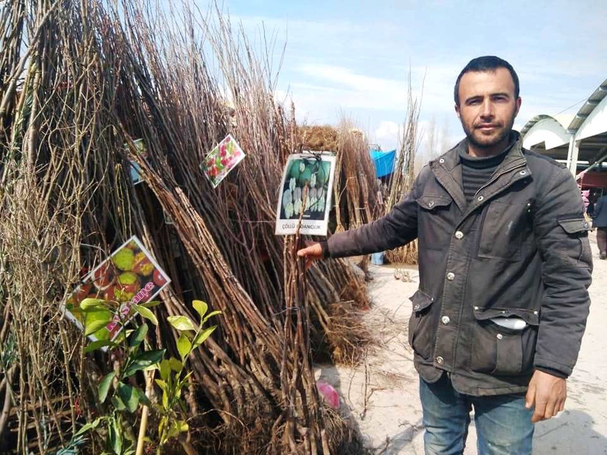 Meyve Fidanı Satışlarında Durgunluk