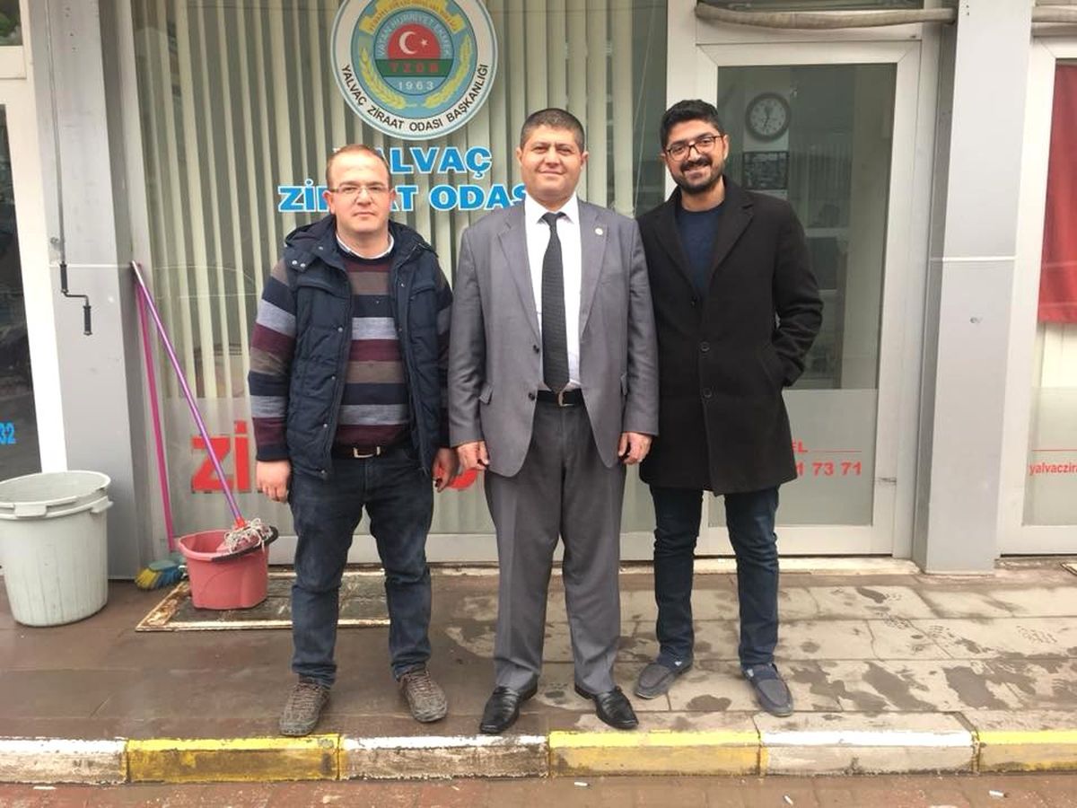 Senirkent\'te Elma Tanzimi Memnuniyeti