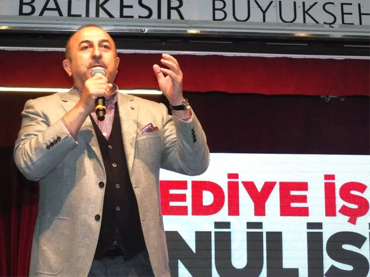 Bakan Çavuşoğlu\'ndan Avusturya\'ya "Bozkurt" Tepkisi