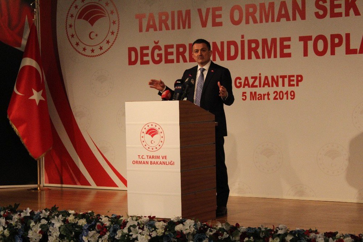 Bakan Pakdemirli: "2-3 Yıl İçinde Kırmızı Eti İhraç Edecek Duruma Geleceğiz"