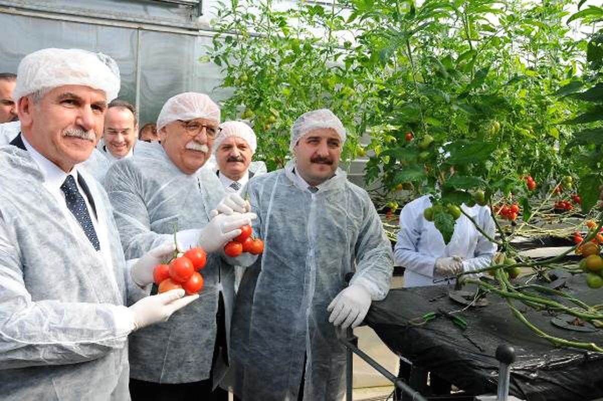 Bakan Varank: 25 Dekarlık Seracılık Yatırımları da \'Yatırım Teşviki\'nden Faydalanacak