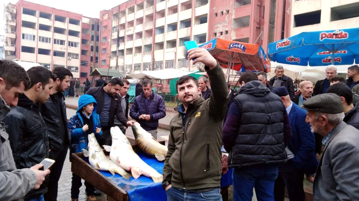 Dev Turna Balığını Gören Vatandaşlar Fotoğraf Çektirmek İçin Birbiriyle Yarıştı
