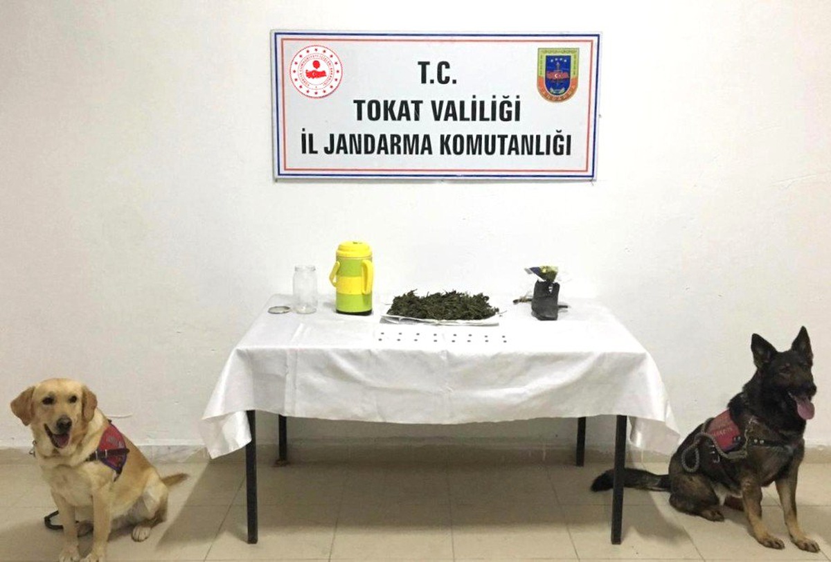 Hassas Burunlar Uyuşturucuya Geçit Vermedi