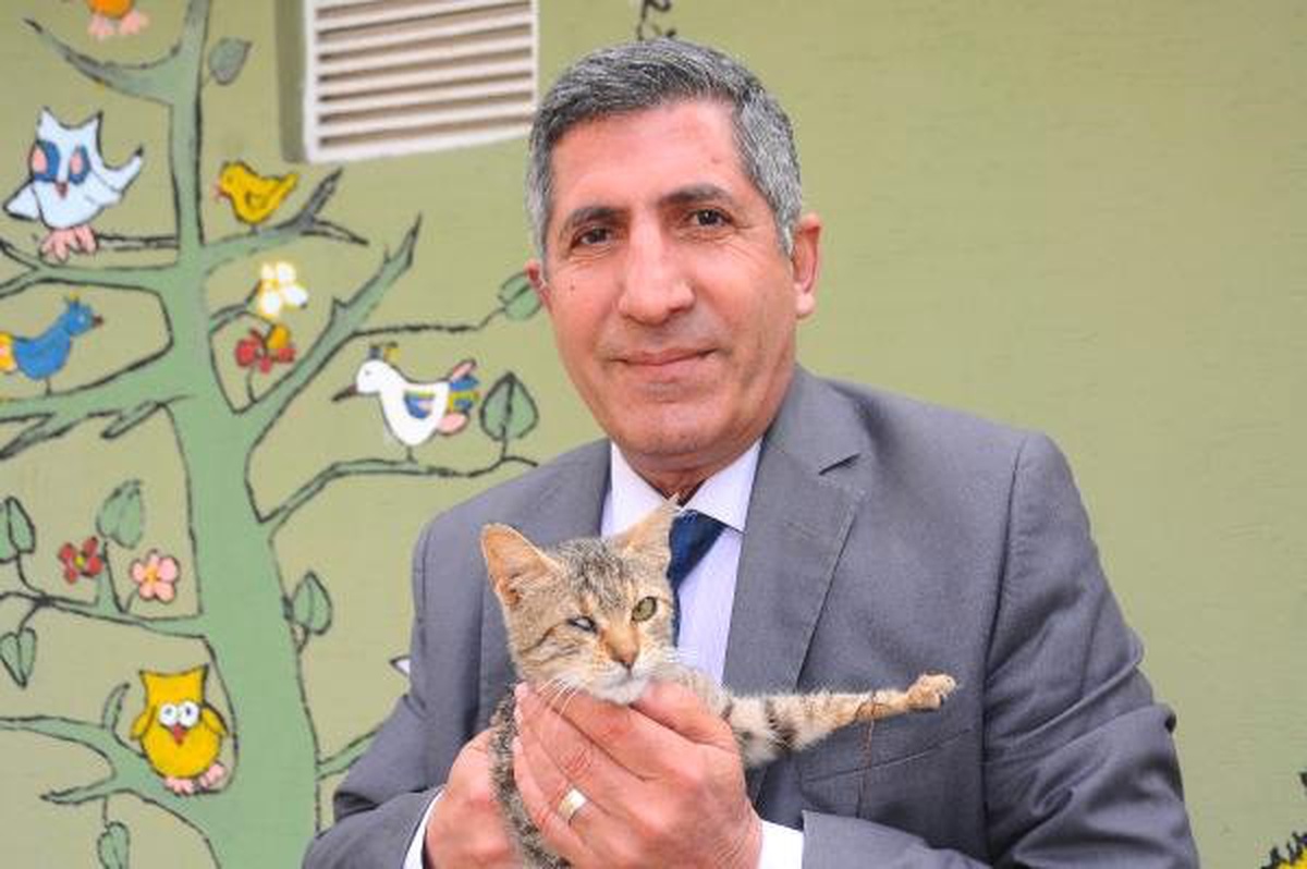 Hayvanların Yaşam Hakkını Hiçe Sayan Siyasilere Oy Yok\'