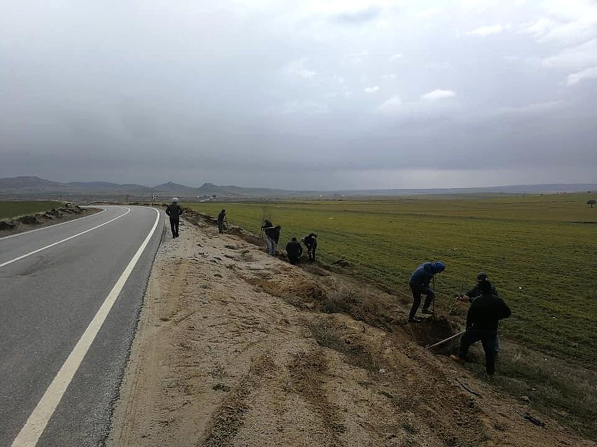 İl Özel İdaresi Desteğiyle 500 Adet Ağaç Dikildi