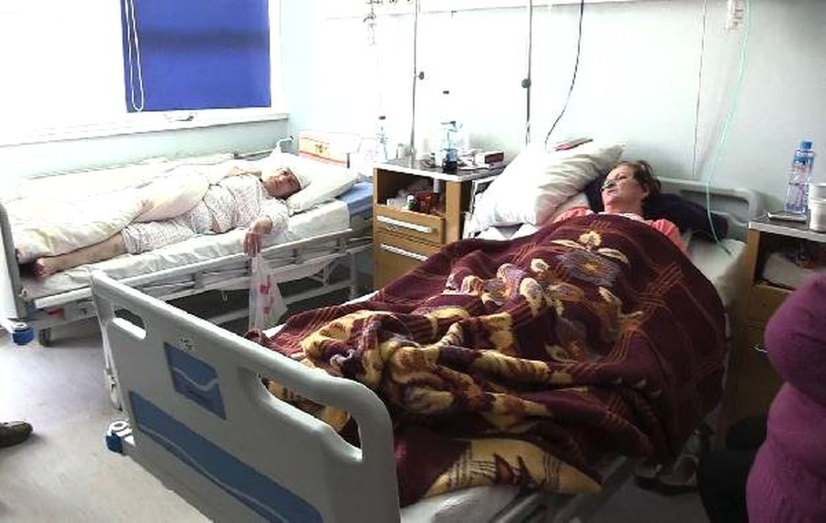Kosova\'da Domuz Gribinden 11 Kişi Hayatını Kaybetti