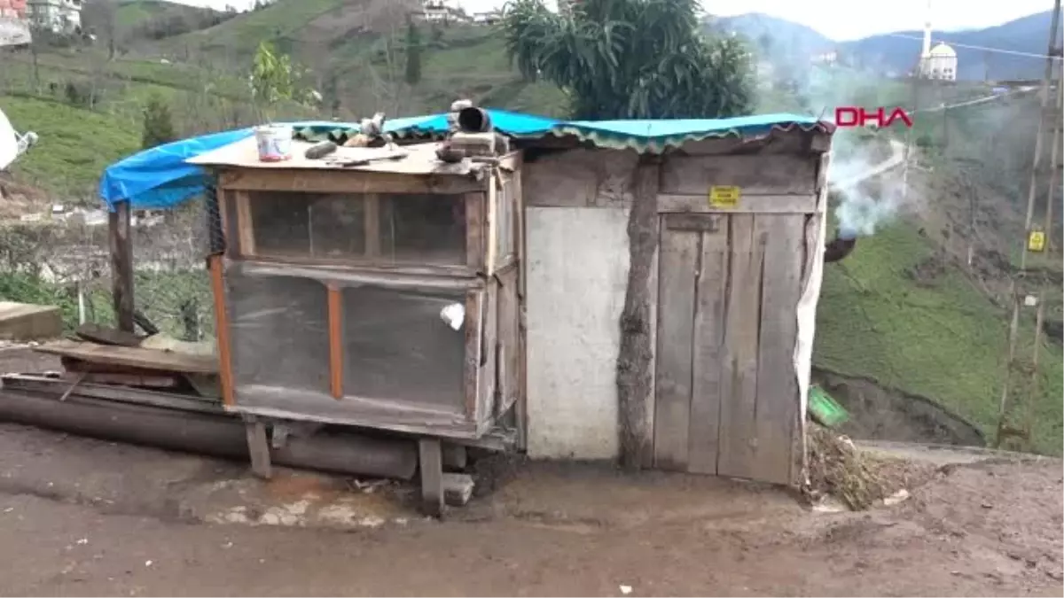 Rize Tavuklarına Sobalı Kümes Kurdu