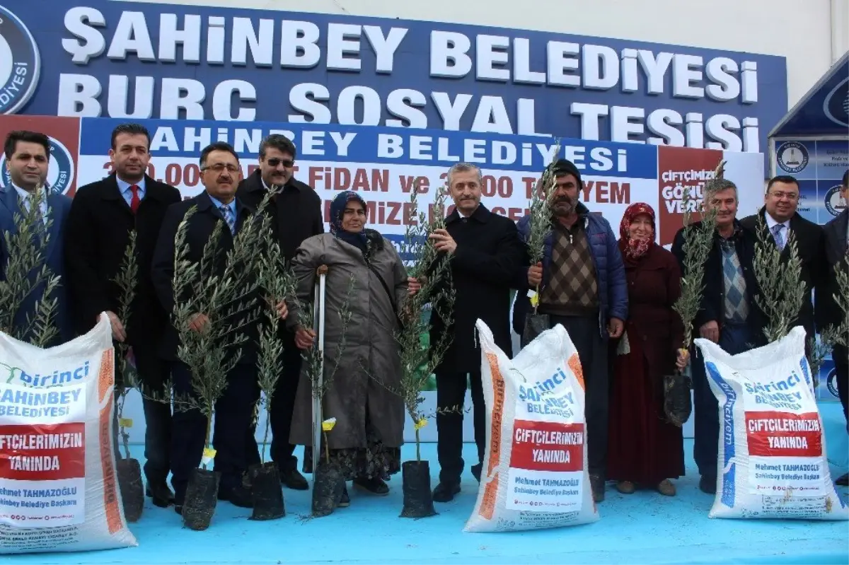 Şahinbey\'den 300 Bin Adet Fidan ve 3 Bin 500 Ton Yem Desteği