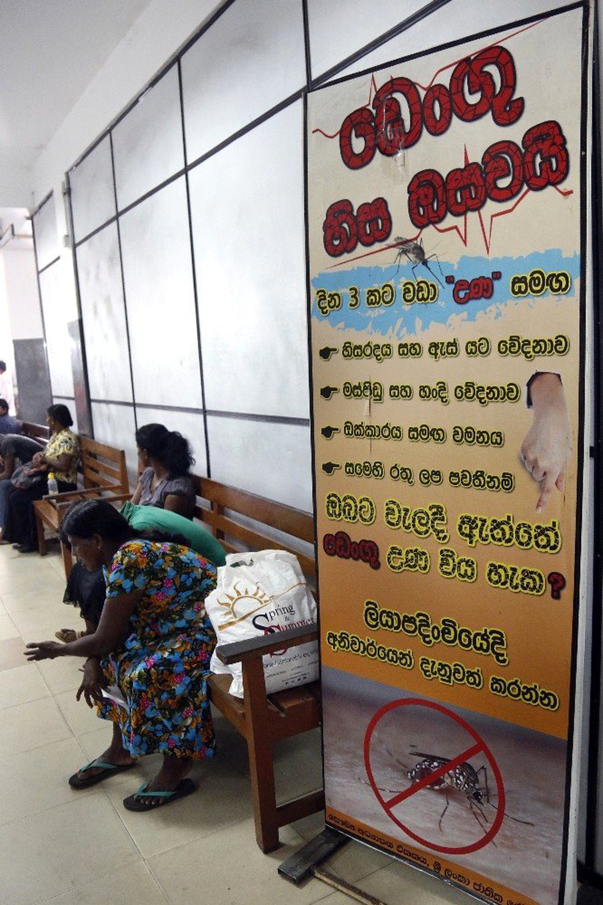 Sri Lanka\'da Dang Humması Vakaları Artıyor