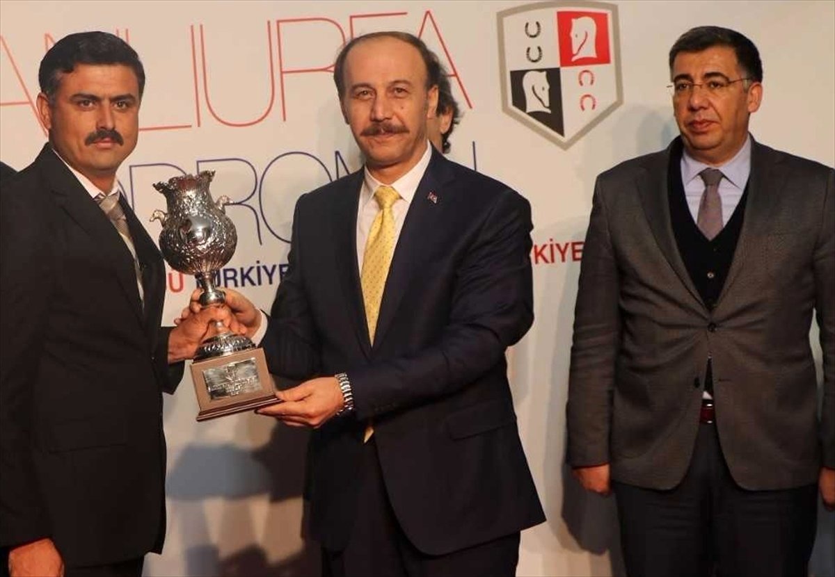 Türkiye Jokey Kulübü Şanlıurfa Vali Kupası Koşusu