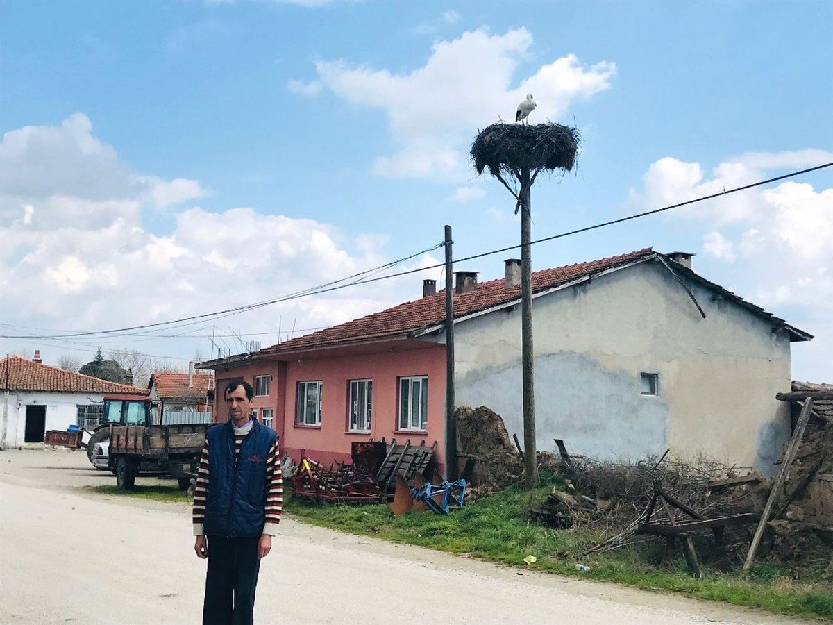 Çanakkale\'de İlk Leylek Yuvaya Kondu