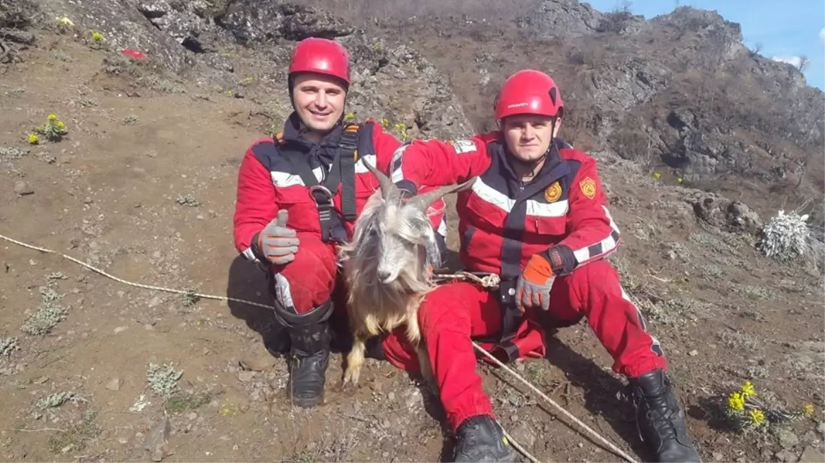 İtfaiye Ekipleri, Mahsur Kalan Keçi İçin Seferber Oldu