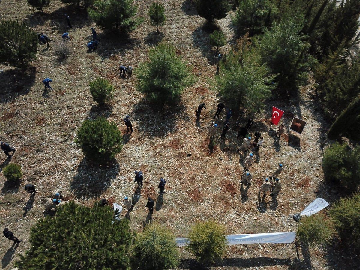Jandarma "Şehitler Ormanı"Na Çam Fidanı Dikildi