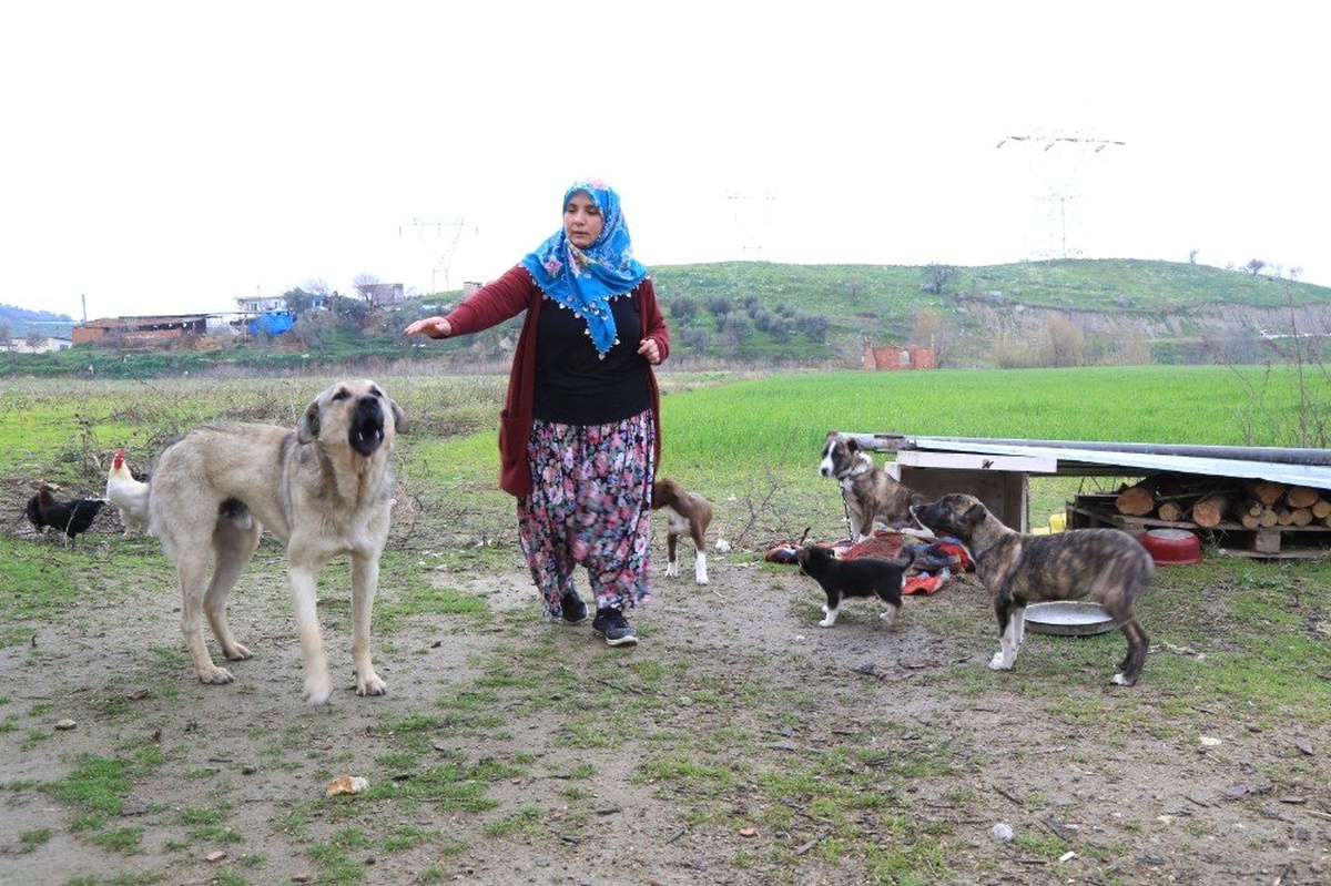 Kadın Üretici, Çakırbeyli Köy Pazarı\'nda Kazandığı Parayla Evini Yaptı