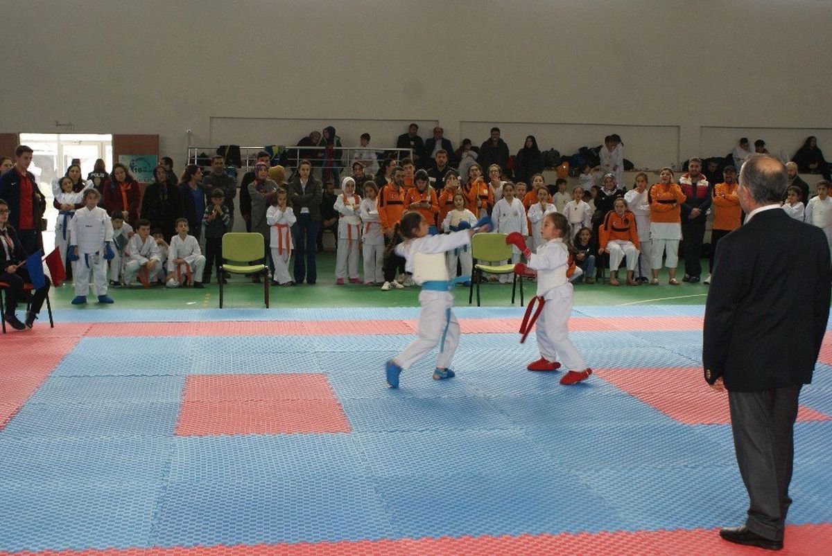 Manyas\'ta Karate Şampiyonası Yapıldı