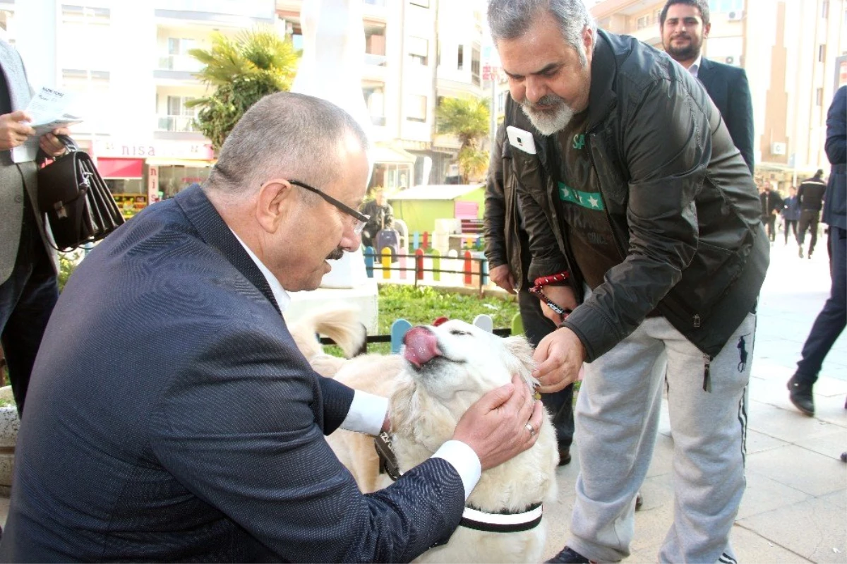 Ak Partili Yılmaz: "Sokak Hayvanlarını Doğal Yaşam Parkına Kavuşturacağız"