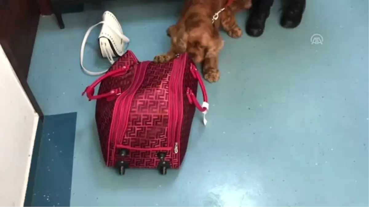 Brezilya\'dan Adana\'ya Ayakkabı İçinde Kokain Getirmiş