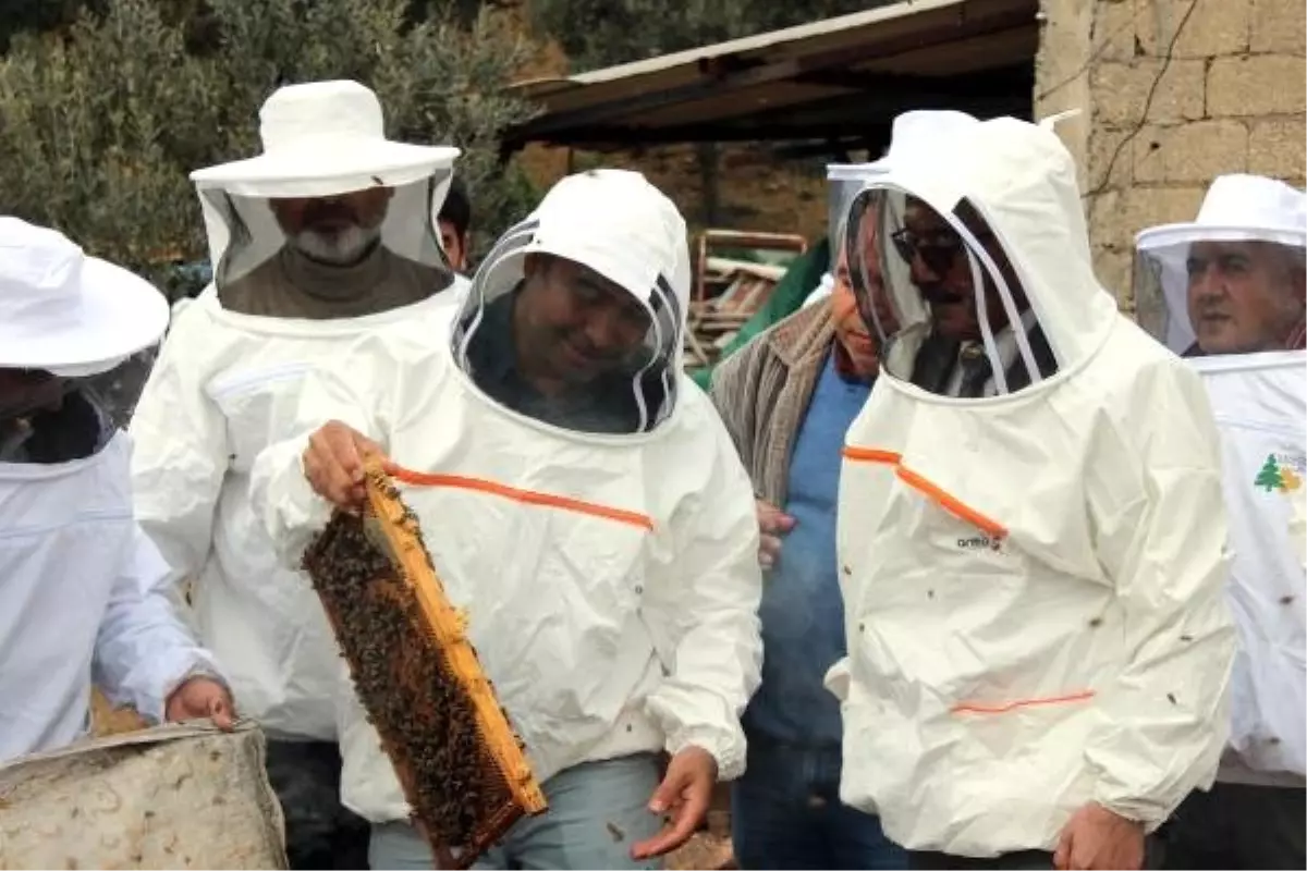 Genç Bal Üreticileri, Sertifikalarını Aldı