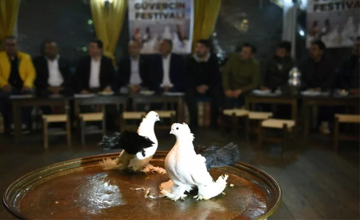 Kepez\'e Kuş Pazarı