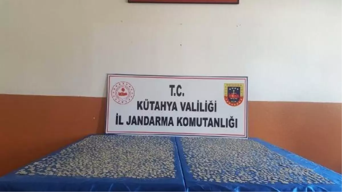 Kütahya\'da 5 Bin Sikke Ele Geçirildi