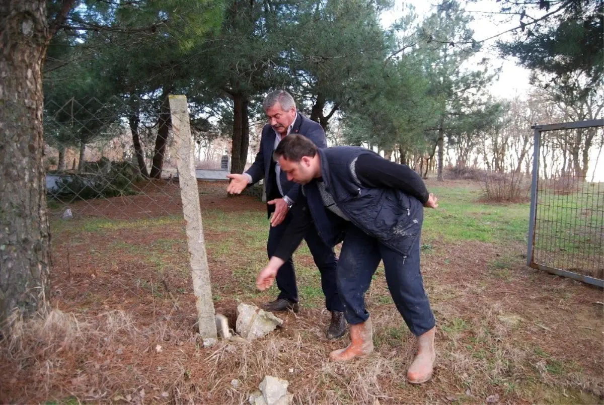 Muhtardan Mezarlık Kapısını Çalan Hırsızlara Tepki: "Diriye Saygınız Yok, Ölüye Saygınız Olsun"