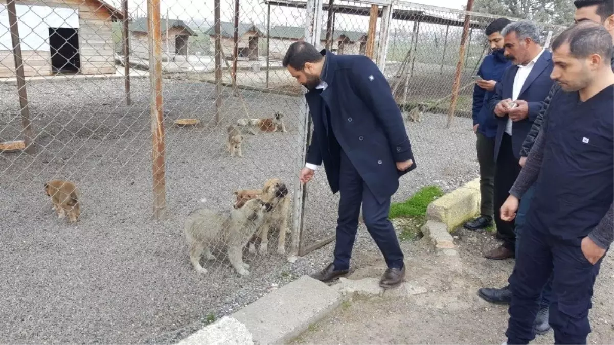 Nasıranlı, Hayvan Bakım Evi ve Rehabilitasyon Merkezini Gezdi