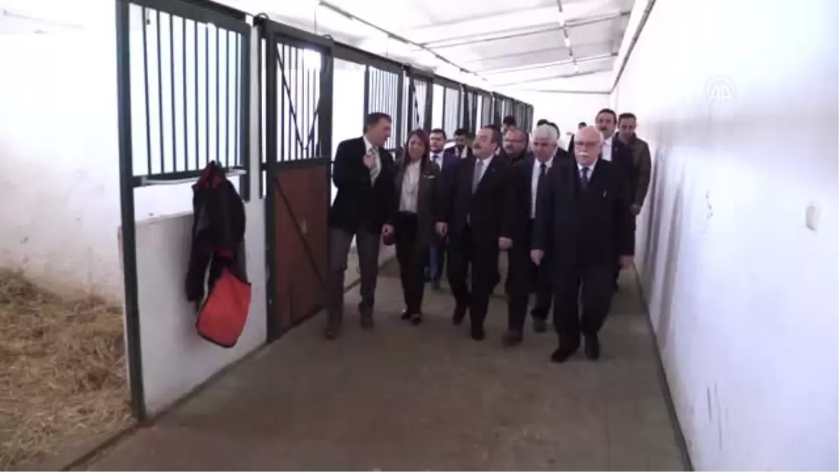 Sanayi ve Teknoloji Bakanı Varank, Hipoterapi Uygulama ve Araştırma Merkezi\'ni Ziyaret Etti