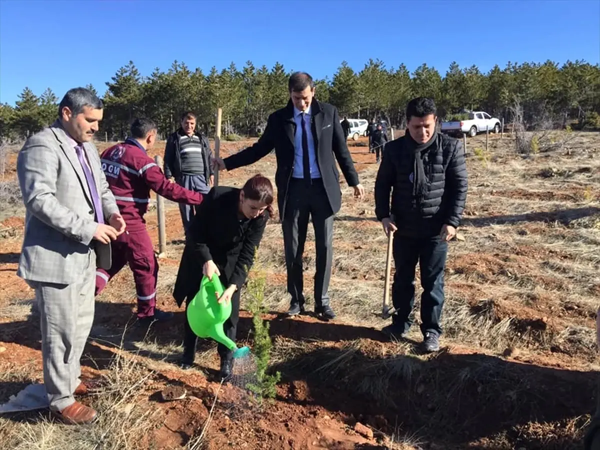 Derbent\'te Dünya Kadınlar Günü\'nde Fidan Dikildi