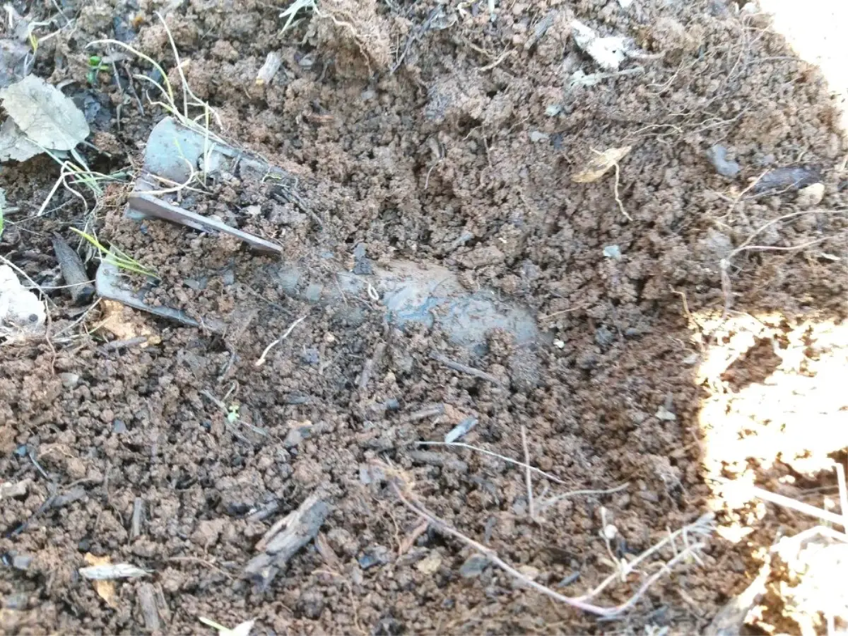 Şırnak\'ta PKK\'lı Teröristlere Ait 3 Sığınak İmha Edildi