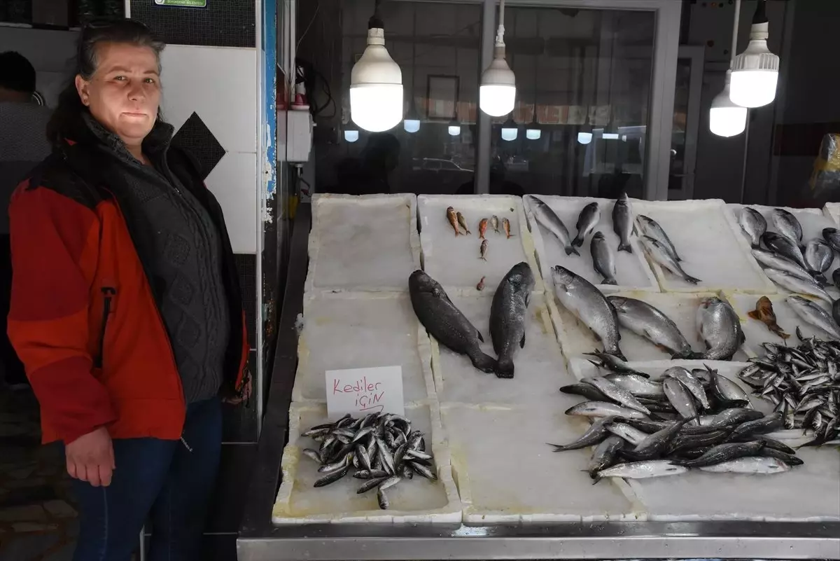 Tezgahındaki Balıklarla Çocuklar ve Kediler Arasında Bağ Kurduruyor