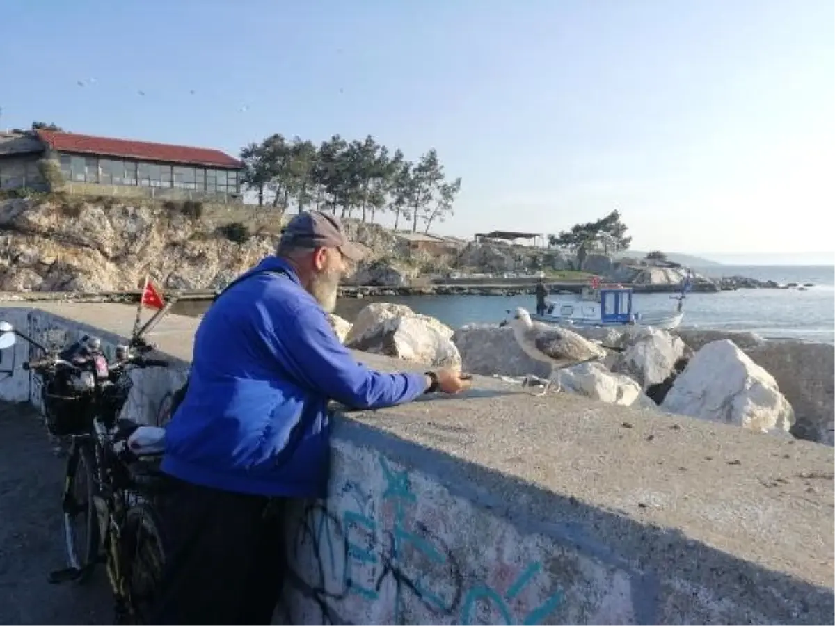 Beslediği Martı Yanından Ayrılmıyor