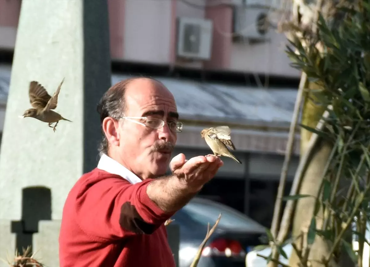 Serçelere Islık Çalan Adam