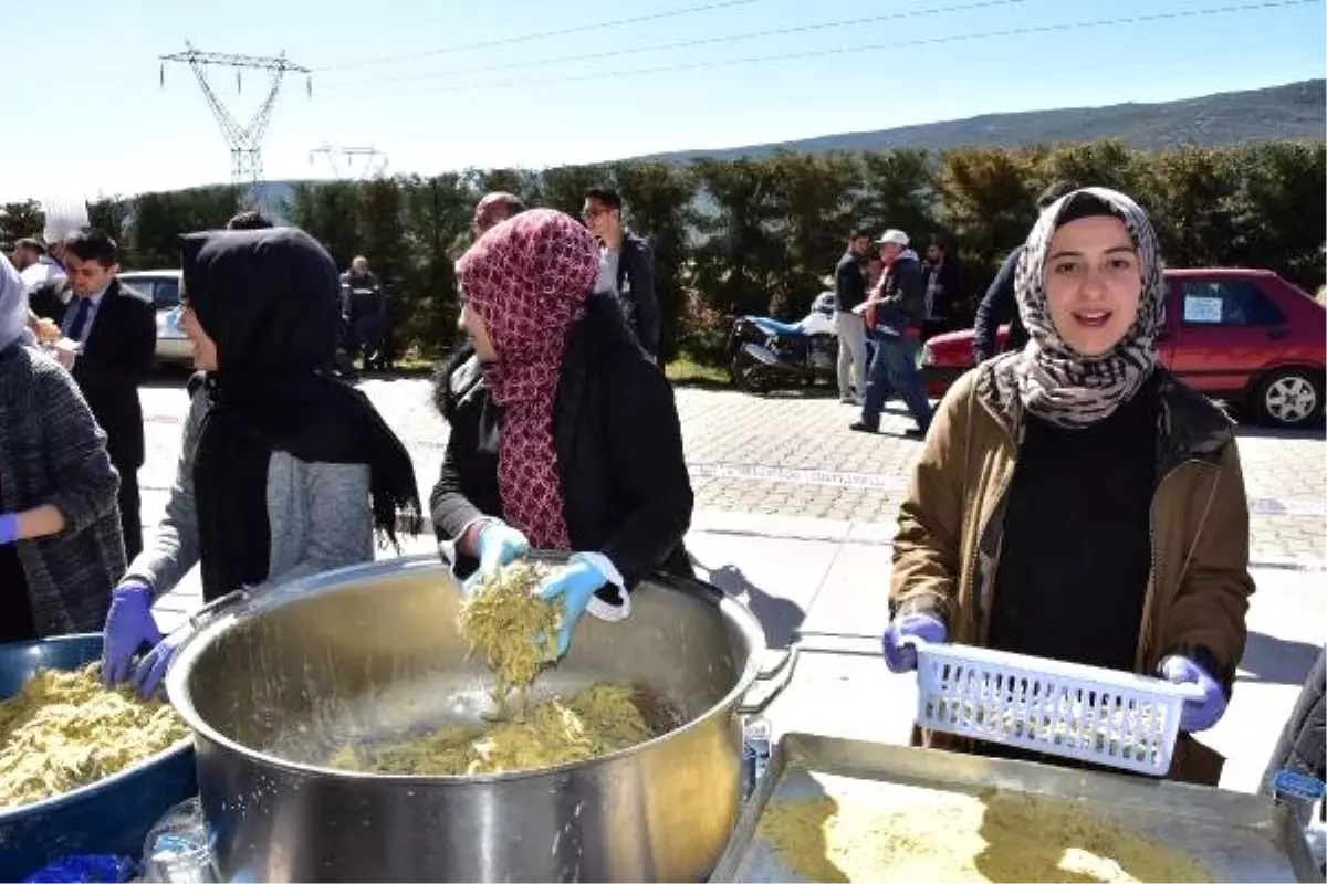 6 Ton Hamsi, 1 Saatte Tüketildi