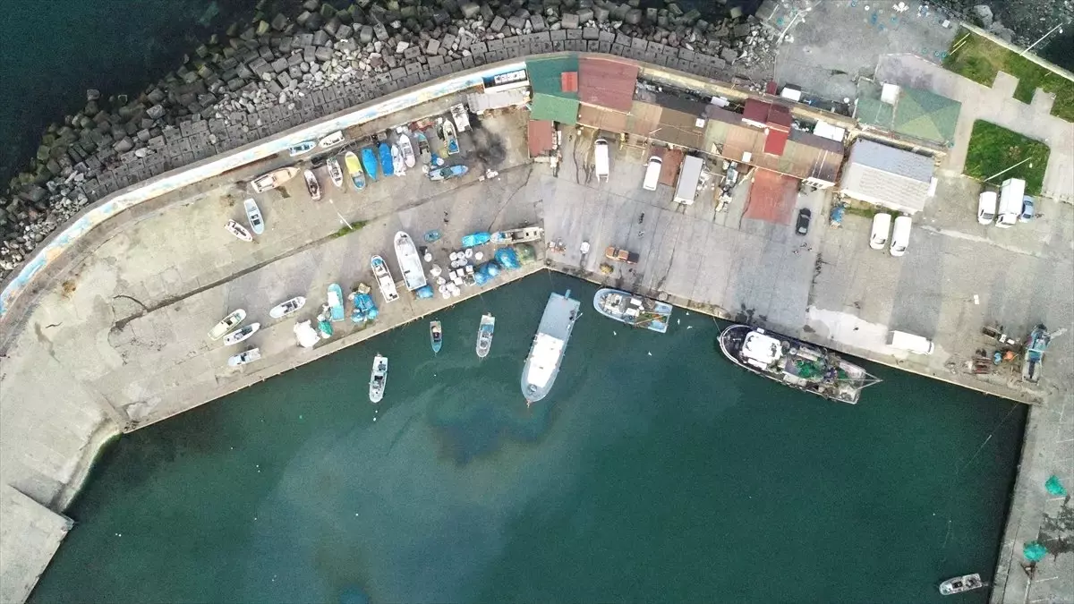 Batı Karadeniz\'de Balığın Azalması Tezgaha Yansıdı