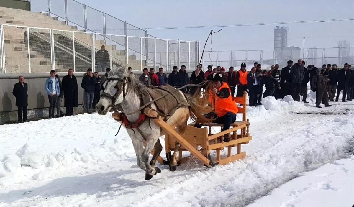 Erzurum\'da "Atlı Kızak Türkiye Şampiyonası" Nefes Kesti