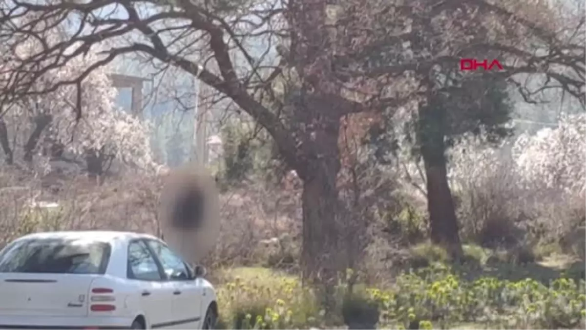 Denizli Borç ve Alacaklarını Yazıp Kendini Astı