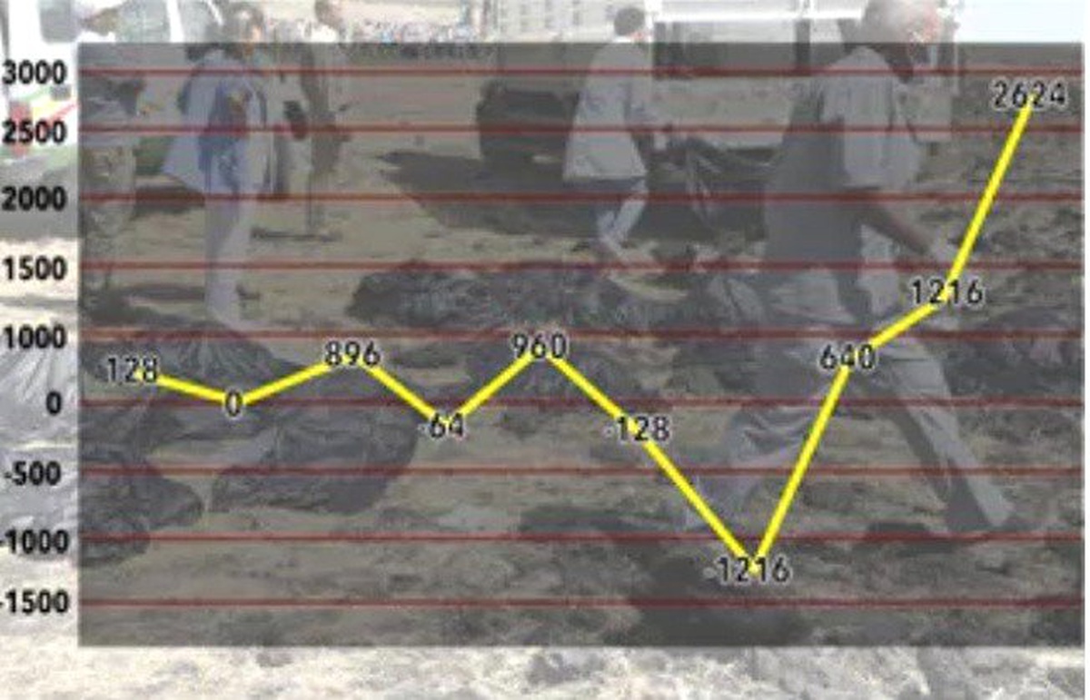 Etiyopya Uçağını Son Anlarına Ait Grafik Ortaya Çıktı