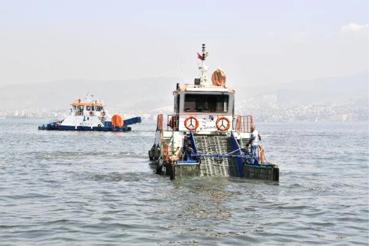 İzmir Körfezi\'ndeki Yüzey Çöpleri Azaldı