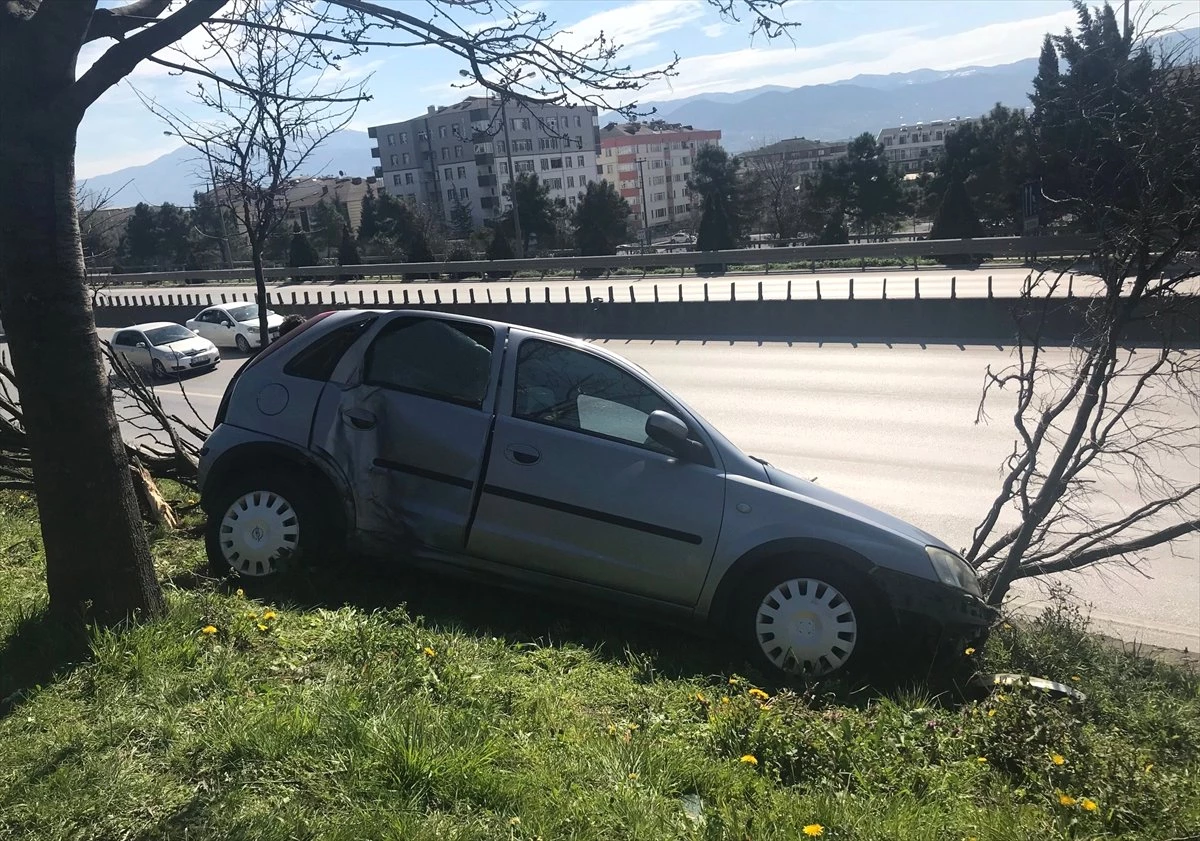 Kara Yoluna Düşmekten Ağaç Kurtardı