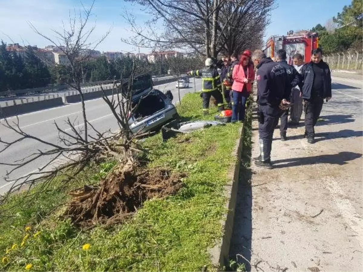 Kontrolden Çıkan Otomobil Ağaçlara Çarptı, Yola Düşmekten Kurtuldu