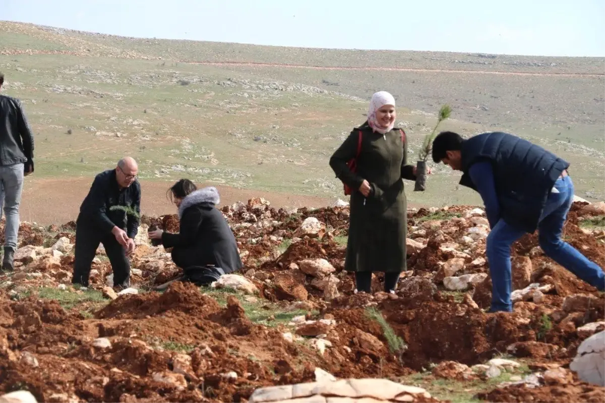 Türk ve Suriyeli Çocuklar İçin Hatıra Ormanı