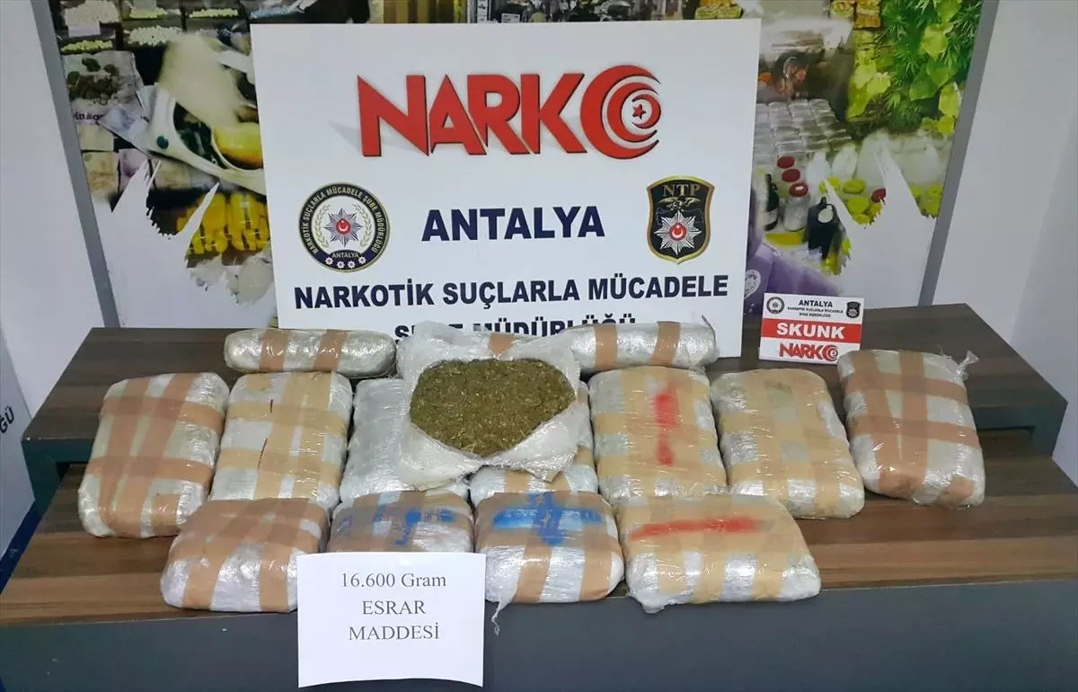 Antalya\'da Uyuşturucu Operasyonları