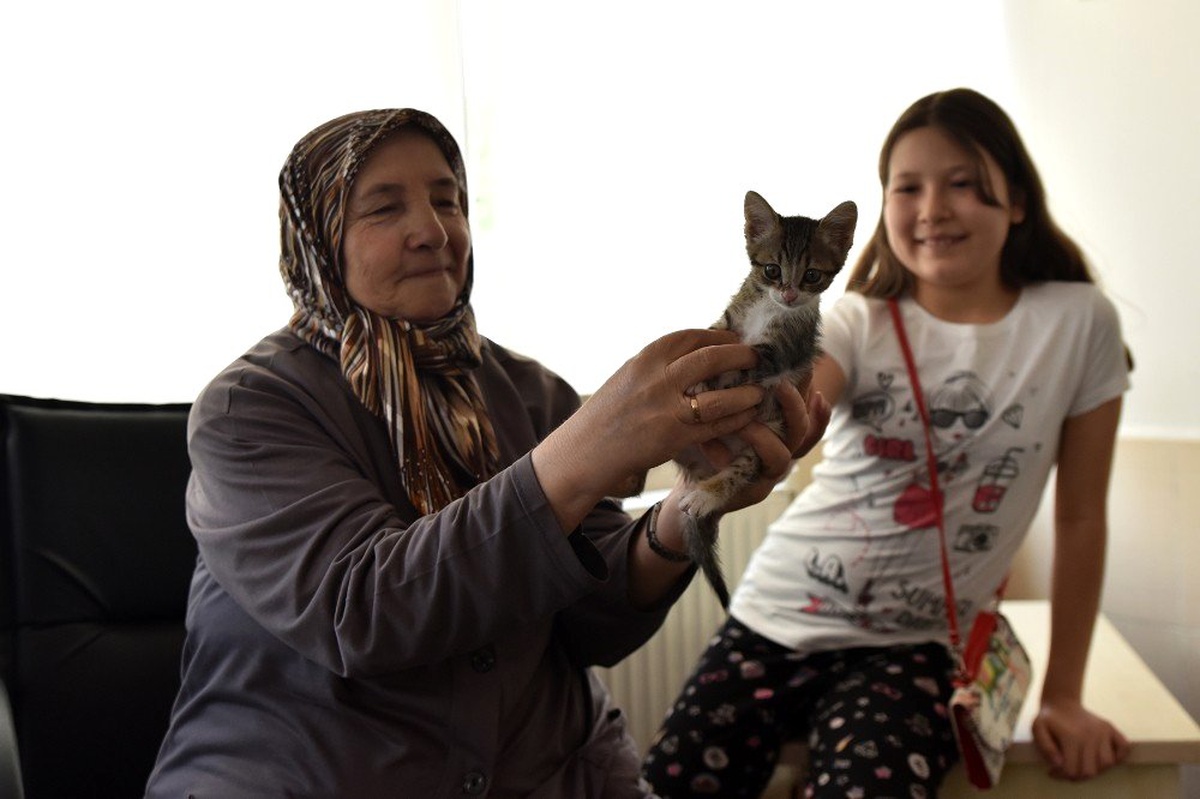 Binlerce Sokak Hayvanı Sıcak Bir Yuvaya Kavuşturuldu
