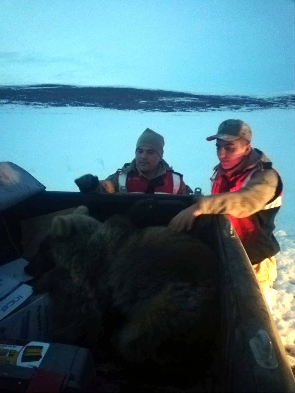 Buz Tutan Gölete Düşen Yavru Ayıyı Jandarma Kurtardı