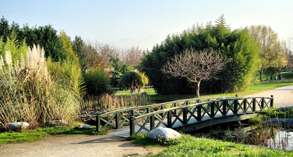 Seydişehir Botanik Parkla Buluşacak