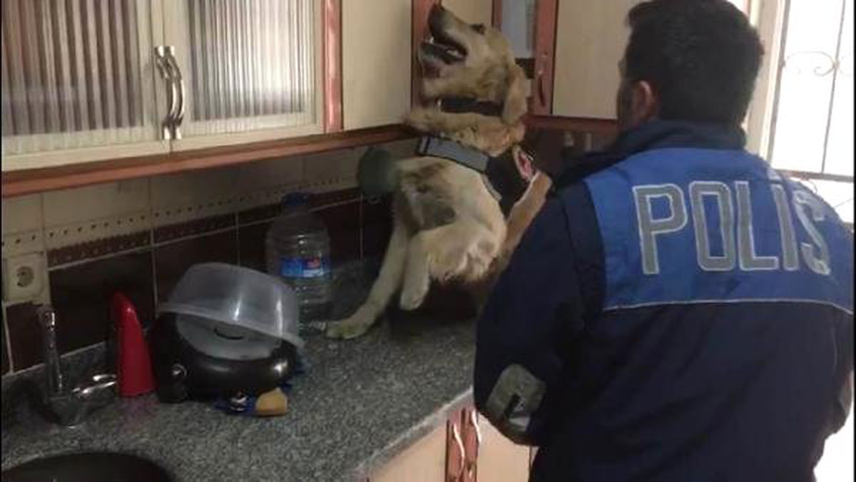 Aksaray\'da Uyuşturucu Operasyonu: 5 Gözaltı