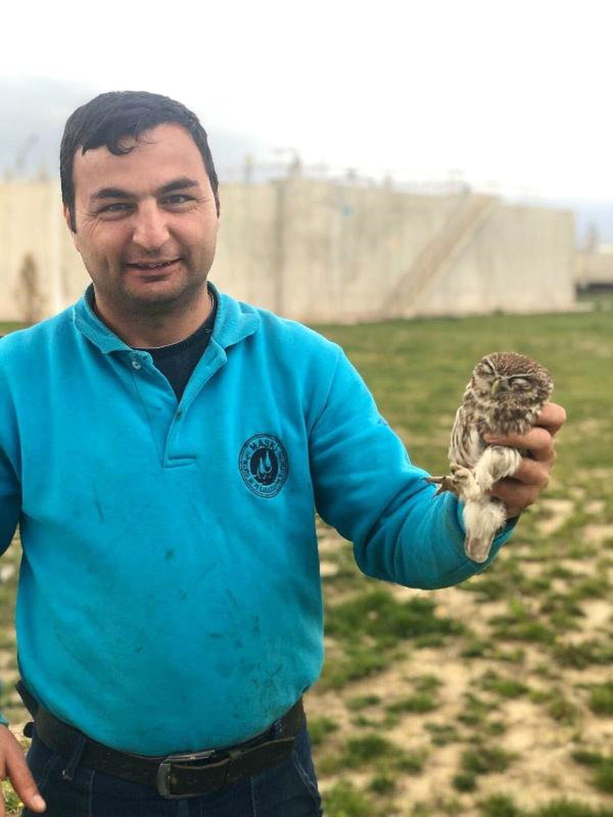 Bitkin Bulunan Yavru Baykuşa Yardım Eli