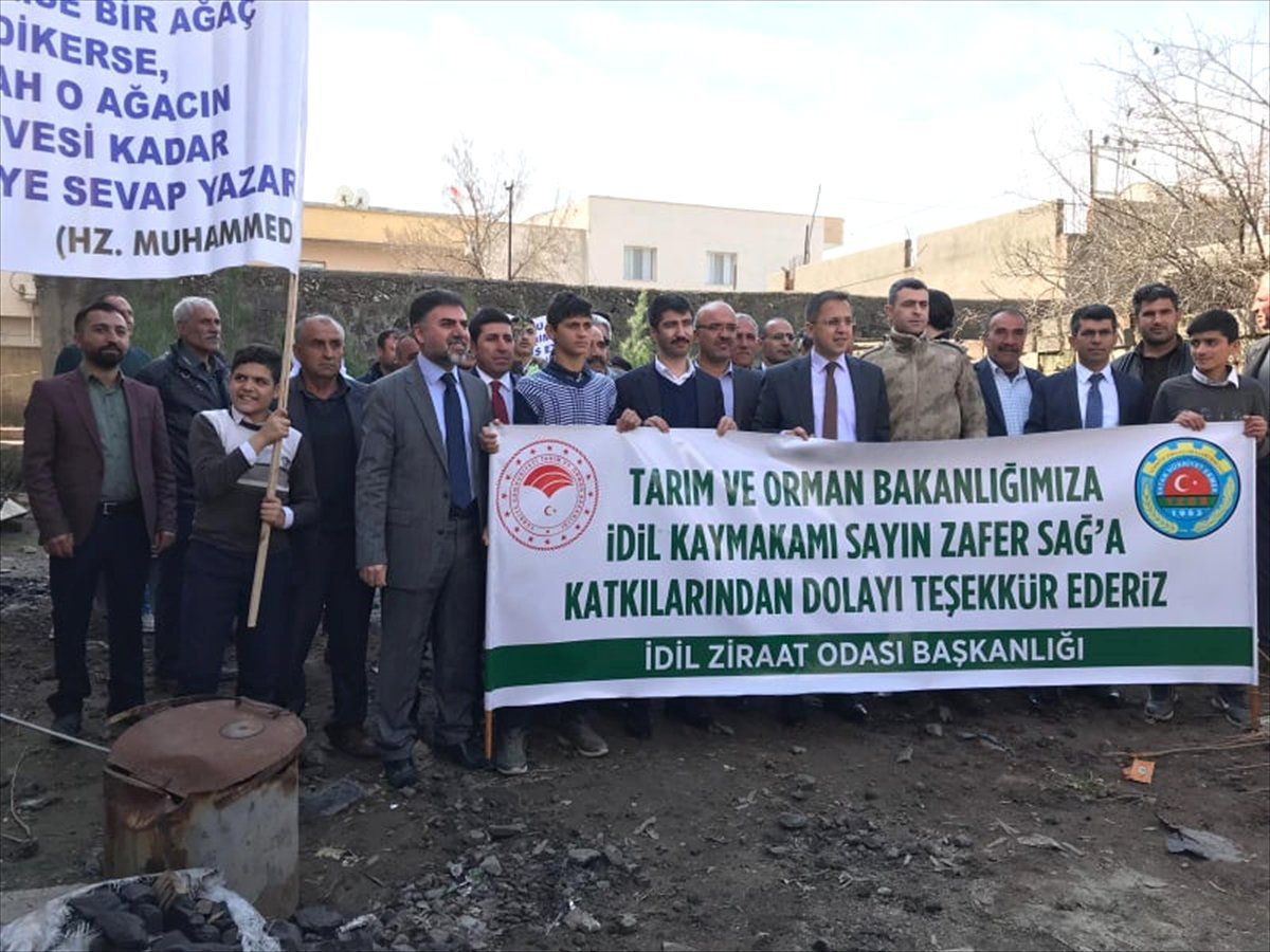 İdil\'de Çiftçilere 22 Bin Fidan