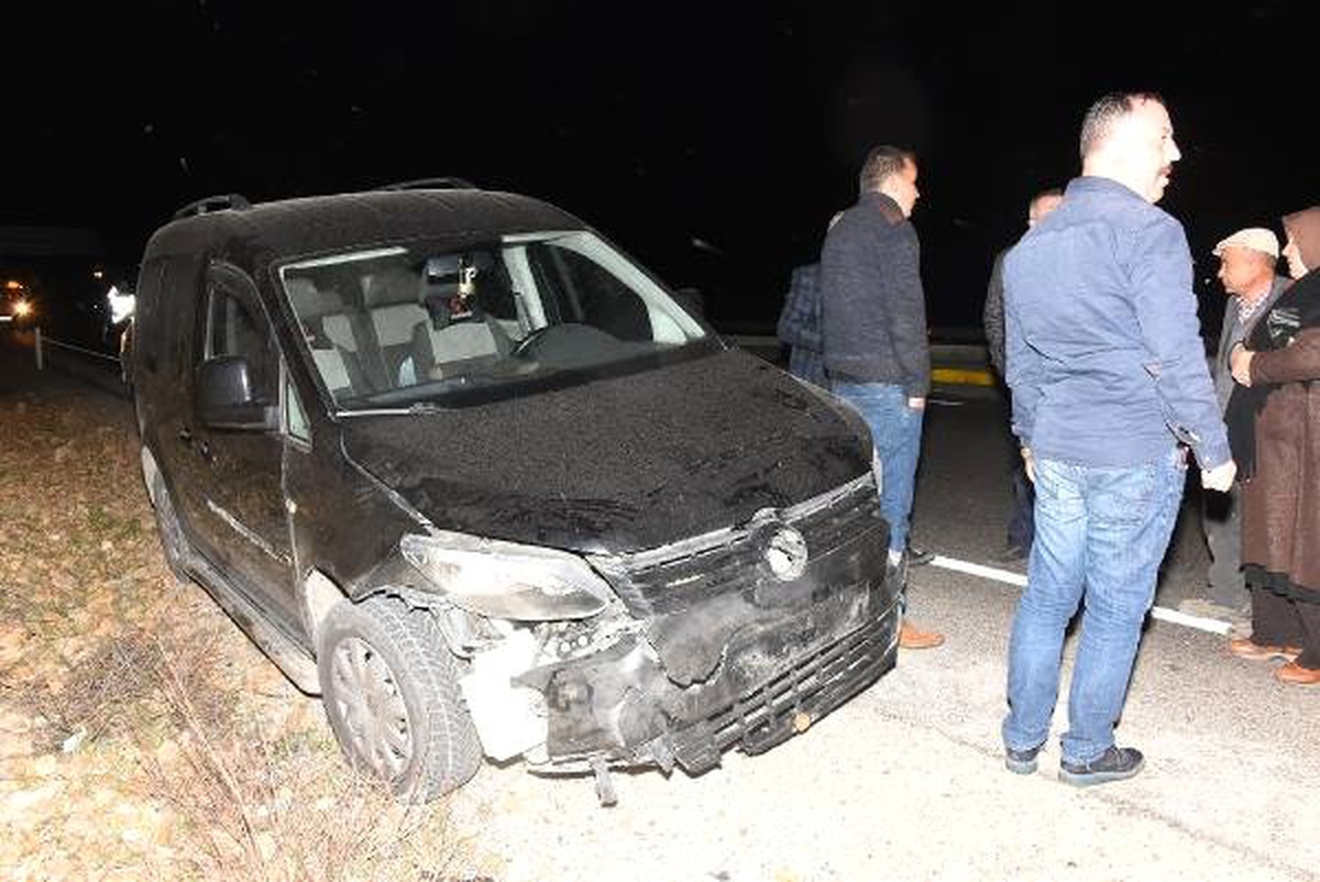 Yola İnen Domuz Sürüsü, Kazaya Neden Oldu
