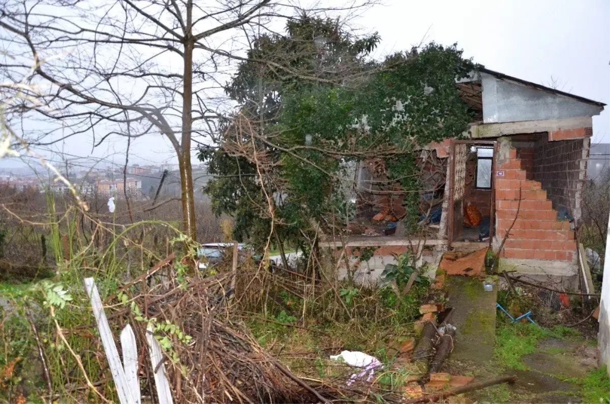 Ordu\'da Ocak Ayındaki Fırtınanın Zararları Karşılandı